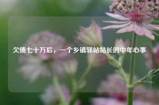 欠债七十万后，一个乡镇驿站站长的中年心事