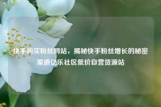 快手购买粉丝网站，揭秘快手粉丝增长的秘密渠道亿乐社区低价自营货源站