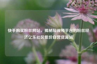 快手购买粉丝网站，揭秘短视频平台的粉丝经济亿乐社区低价自营货源站