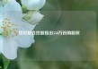 世纪联合控股授出550万份购股权