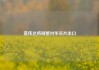 英伟达将调整对华芯片出口