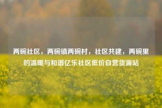 两碗社区，两碗镇两碗村，社区共建，两碗里的温暖与和谐亿乐社区低价自营货源站