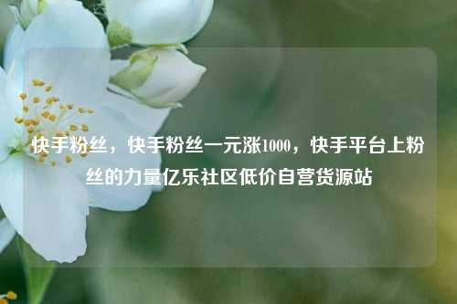 快手粉丝，快手粉丝一元涨1000，快手平台上粉丝的力量亿乐社区低价自营货源站  第1张