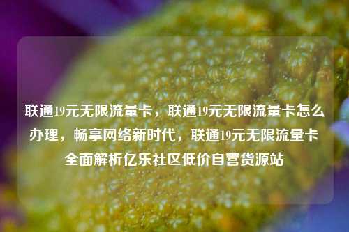 联通19元无限流量卡，联通19元无限流量卡怎么办理，畅享网络新时代	，联通19元无限流量卡全面解析亿乐社区低价自营货源站  第1张