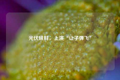 光伏硅料，上演“让子弹飞”  第1张