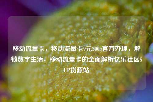 移动流量卡	，移动流量卡9元300g官方办理，解锁数字生活，移动流量卡的全面解析亿乐社区SUP货源站  第1张