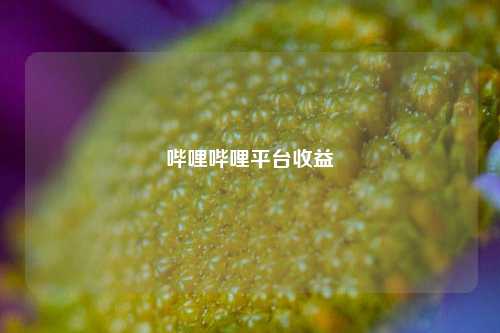 哔哩哔哩平台收益  第1张