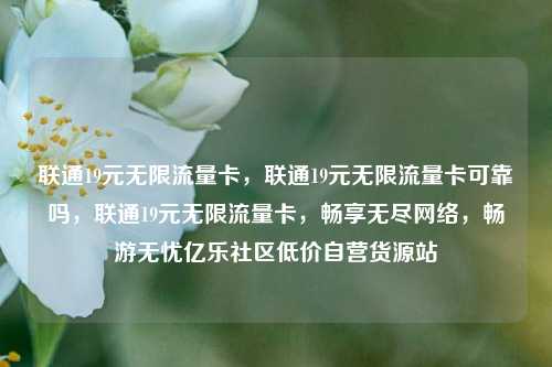 联通19元无限流量卡	，联通19元无限流量卡可靠吗，联通19元无限流量卡，畅享无尽网络，畅游无忧亿乐社区低价自营货源站  第1张