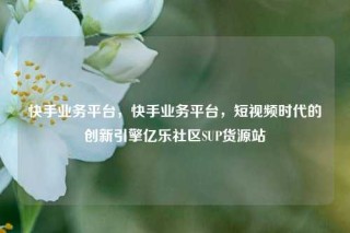 快手业务平台，快手业务平台，短视频时代的创新引擎亿乐社区SUP货源站