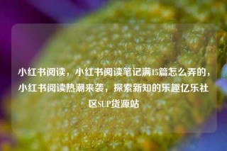 小红书阅读，小红书阅读笔记满15篇怎么弄的，小红书阅读热潮来袭，探索新知的乐趣亿乐社区SUP货源站