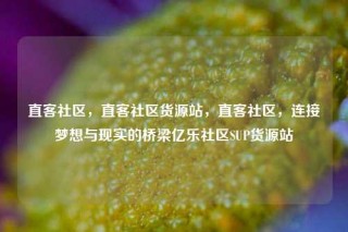 直客社区，直客社区货源站，直客社区，连接梦想与现实的桥梁亿乐社区SUP货源站