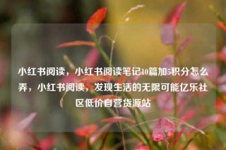 小红书阅读，小红书阅读笔记10篇加5积分怎么弄，小红书阅读，发现生活的无限可能亿乐社区低价自营货源站