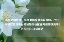 小红书播放量，小红书播放量有收益吗，小红书播放量爆表！揭秘如何快速提升视频曝光率！亿乐社区SUP货源站