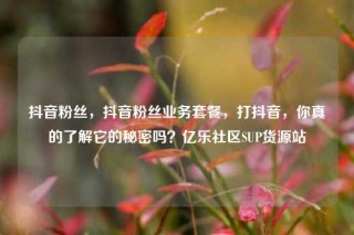 抖音粉丝，抖音粉丝业务套餐，打抖音，你真的了解它的秘密吗？亿乐社区SUP货源站