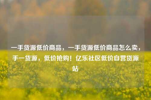 一手货源低价商品	，一手货源低价商品怎么卖，手一货源，低价抢购！亿乐社区低价自营货源站  第1张