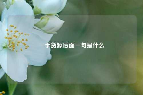 一手货源后面一句是什么  第1张