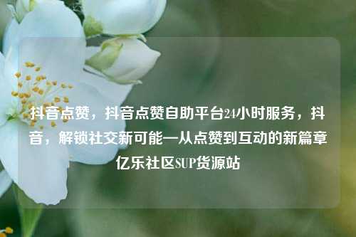 抖音点赞，抖音点赞自助平台24小时服务，抖音，解锁社交新可能—从点赞到互动的新篇章亿乐社区SUP货源站  第1张