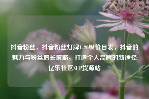 抖音粉丝，抖音粉丝灯牌1-20级价目表，抖音的魅力与粉丝增长策略，打造个人品牌的新途径亿乐社区SUP货源站  第1张
