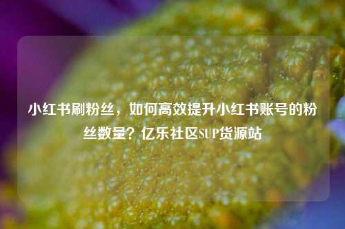 小红书刷粉丝，如何高效提升小红书账号的粉丝数量？亿乐社区SUP货源站  第1张